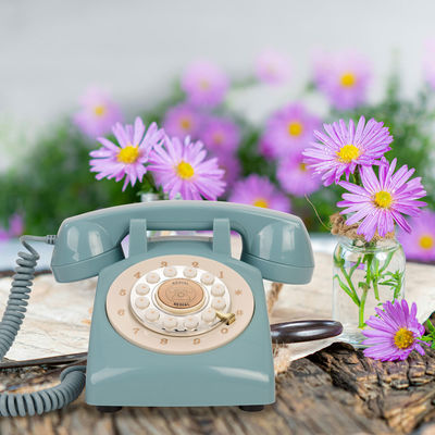 Audio Livro de convidados Telefone de casamento perfeito para o seu grande dia